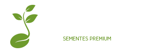 Sementes para pasto